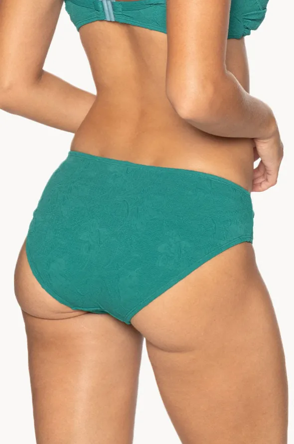 Amelius Louise Pant