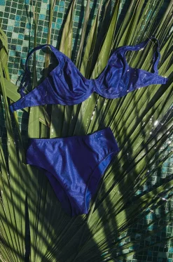 Arizona Wave High Waist Brief