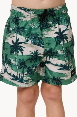 Boys Dreamers Volley Boardshort